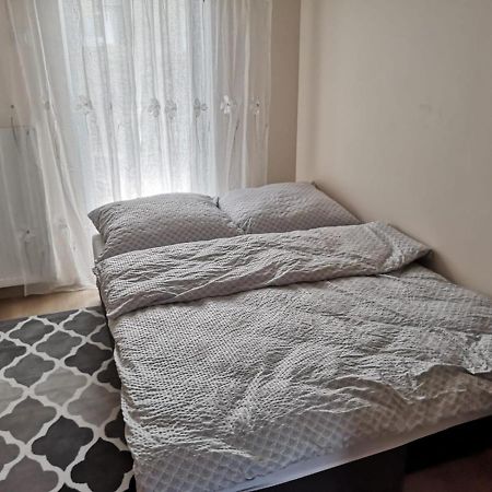 Caloroczny Dom Wypoczynkowy Anna 哈日科维 外观 照片